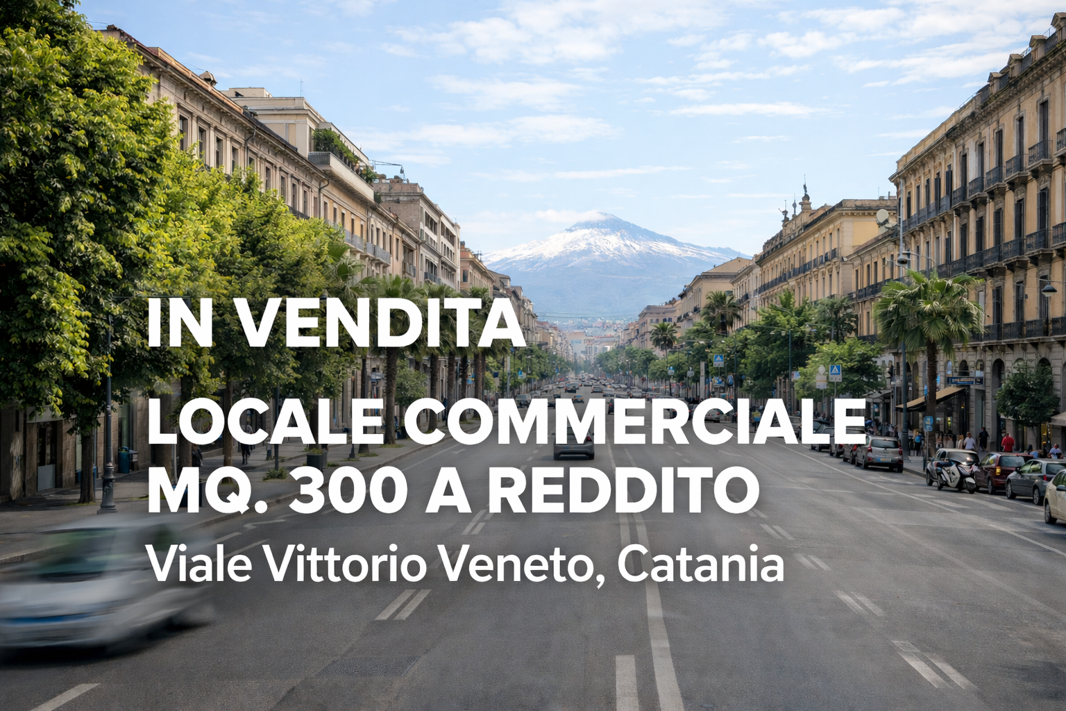 Locale commerciale a reddito...