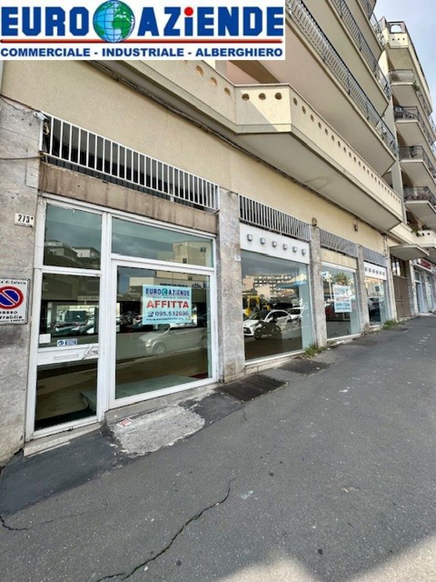 Bottega mq. 260  Viale...