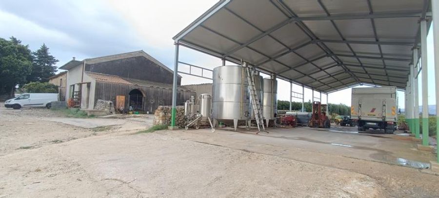 Azienda agricola in produzione...